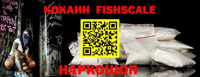 a pvp Новозыбков