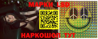 a pvp Новозыбков