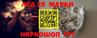 a pvp Новозыбков