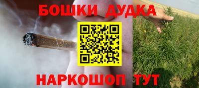 a pvp Новозыбков