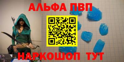 a pvp Новозыбков