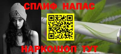 a pvp Новозыбков